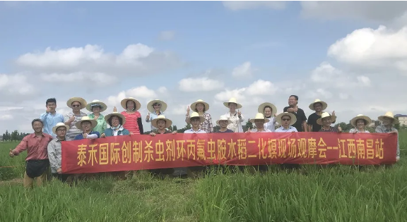 ˮ��������Ϊ��������� �������氷���ּ������� ��������ɱ����������氷ˮ��������ҩЧ������������